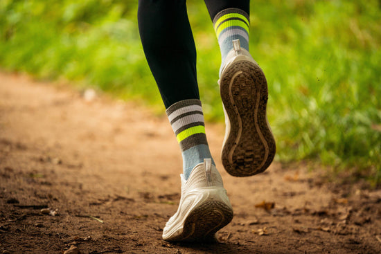 INCYLENCE MERINO STRIVE 羊毛運動機能襪 LIGHT BLUE CANARY