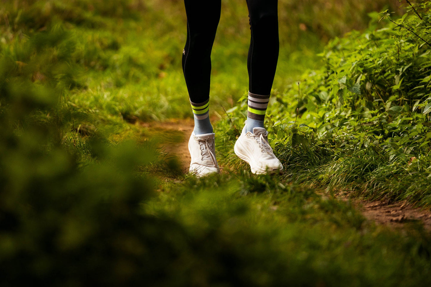 INCYLENCE MERINO STRIVE 羊毛運動機能襪 LIGHT BLUE CANARY